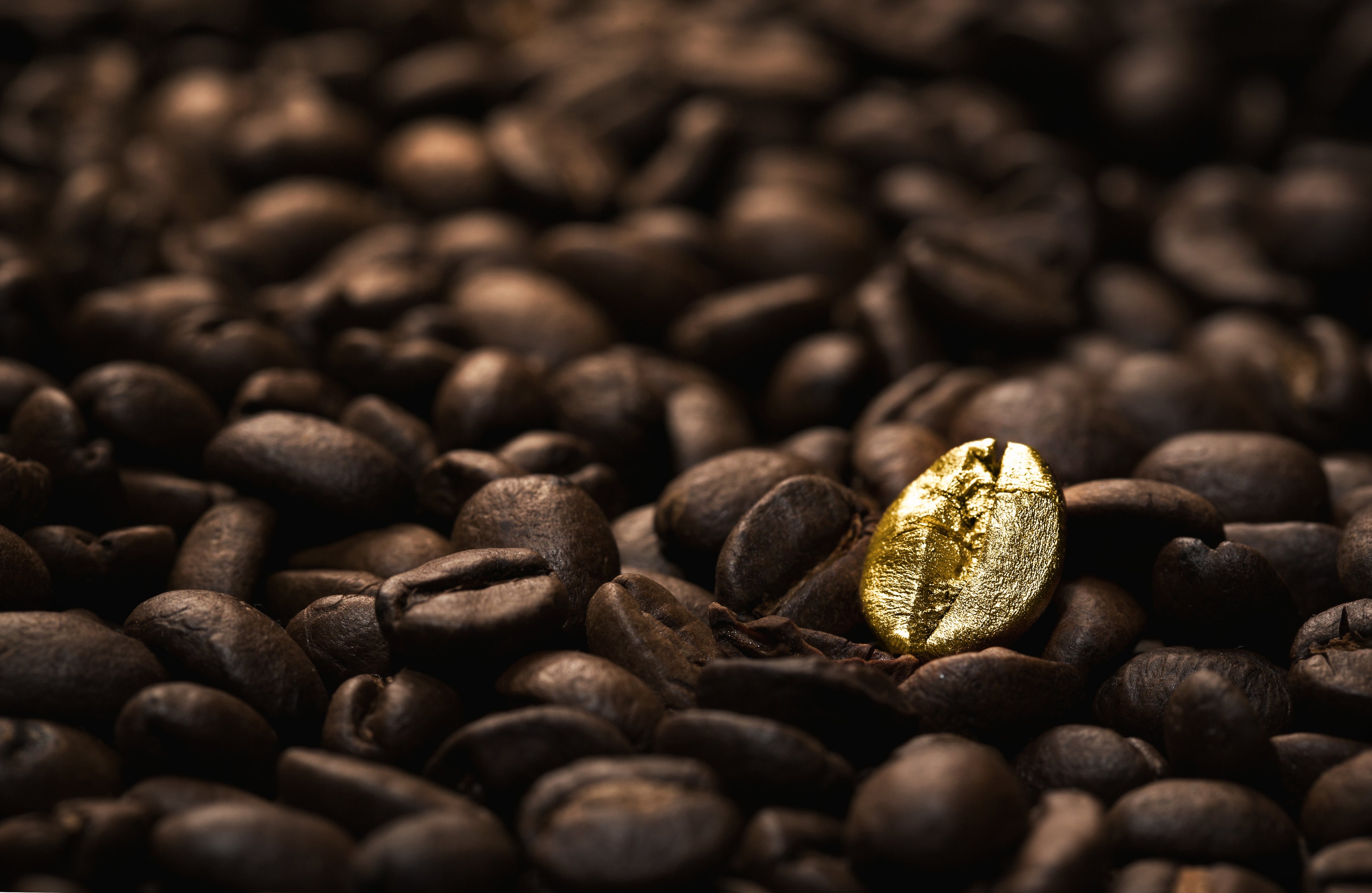Gold Coffee Company in Jupiter